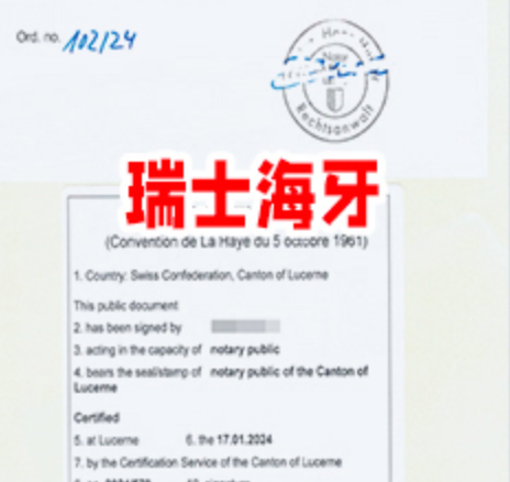 海牙认证需要带什么材料？这份完整清单帮你轻松搞定认证流程